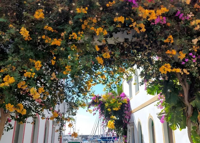 Vv Ancla Διαμέρισμα Puerto De Mogan