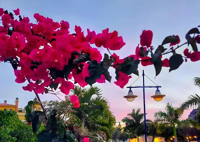 アパート Vv Ancla *